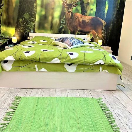 Nature Escape Studio ブカレスト エクステリア 写真